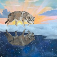 Peacemaker (from 'Let's Go Dancing' the songs of Kevn Kinney) - Single - Great Lake Swimmers