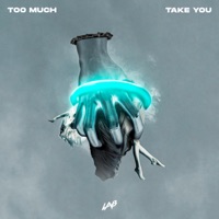 Take You - Single - Too Much