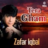 Zafar Iqbal - Humen Aur Jeene Ki