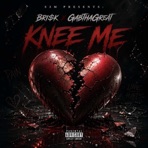 Knee Me (feat. Bri$k & GabThaGreat) - Single