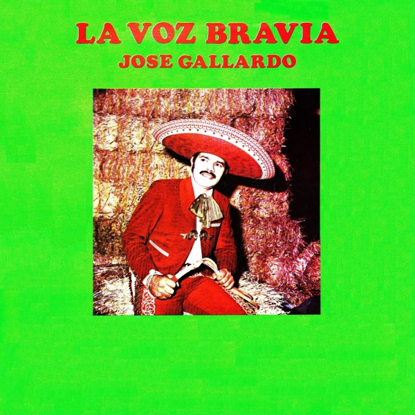 La voz bravía - Single