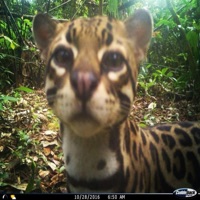 @rewind - Single - bronclair