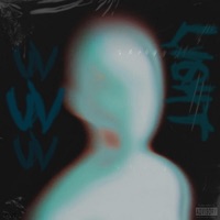 UV LIGHT - Single - GVC