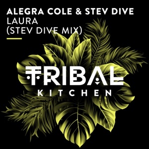 Laura (Stev Dive Mix) - Single