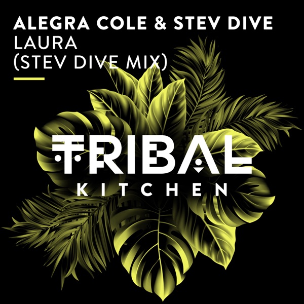 Laura (Stev Dive Mix) - Single
