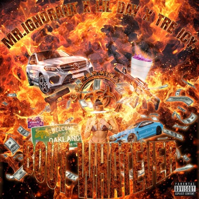 Bout Whatever (feat. Mr.Ignorant, Lul Day & Tre Icy) - Single