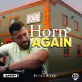 Horn Again