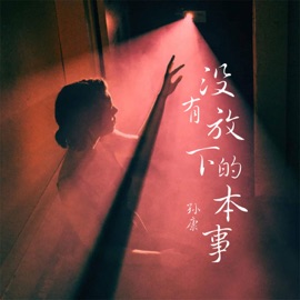 没有放下的本事 (伴奏) 孙康