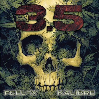 3.5 (feat. Kalibre) - Single