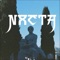 Fein (feat. NXCTA) - Raul Apxpei lyrics