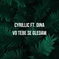 Vo Tebe Se Gledam