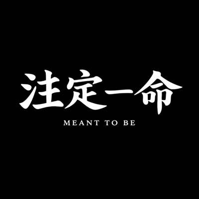 Meant to be (feat. Lucas) - Single