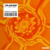 The Answer cover art