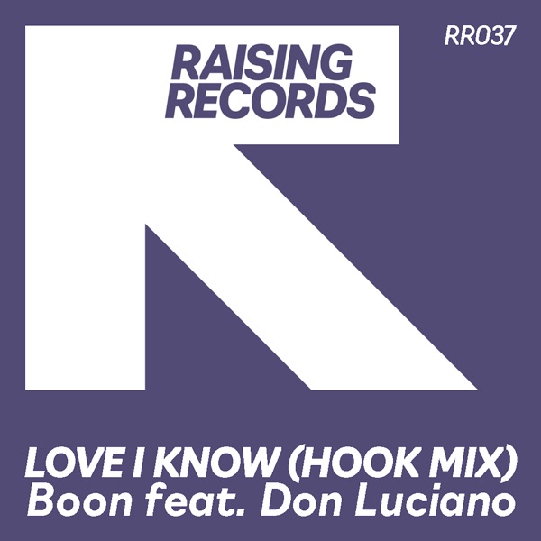 Love I Know (Hook Mix) [feat. Don Luciano] - Single