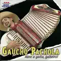 Abre a gaita gaiteiro