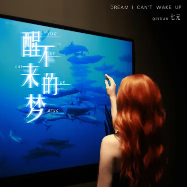 醒不来的梦 (英文版Dream l can't wake up)