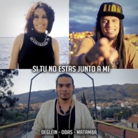 Si Tú No Estás Junto a Mi (feat. Odas & Matamba) - Single - Dany Deglein