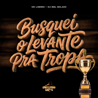 Busquei o Levante pra Tropa - Single