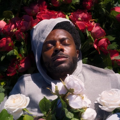 Stuck In The Roses - Single