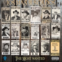LOS MAS BUSCADOS - Soundfrutt