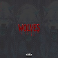 Wolves (feat. sd & 200k) - Single - FL3A