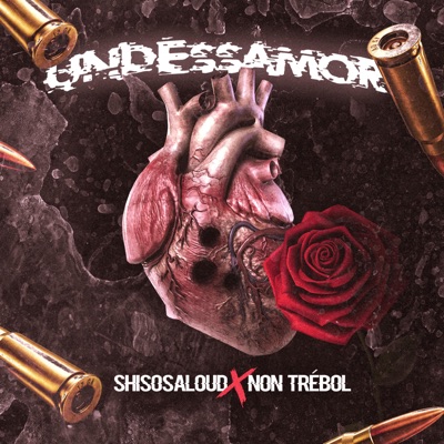 Undessamor - Single