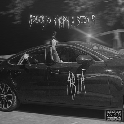 Artă (feat. Seby G) - Single