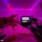 48 devilz (feat. tah wixkk) - ljay da general lyrics