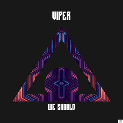 We Should?? - Single