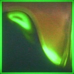 Pharmakon - Single