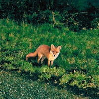 Mood - Single - Grenayd