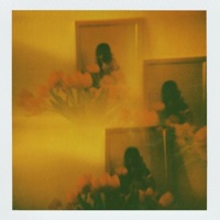 The Fall of Me - Single - ALuis