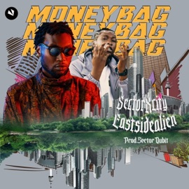 Moneybag (feat. Eastsidealien) Sectorxcity