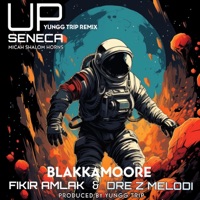 UP (feat. Blakkamoore, Fikir Amlak & Dre Z Melodi) [Remix] - Single - Seneca