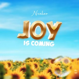 Joy is Coming Nuelzo