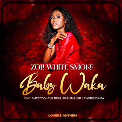 Baby Waka (feat. SmeezyOn The Beat, ParisMiller & Master Chuza) - Single