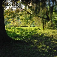 пропущенный звонок - Single - angelgrind