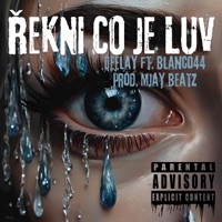 Řekni co je luv - Single - DEELAY & BLANCO44