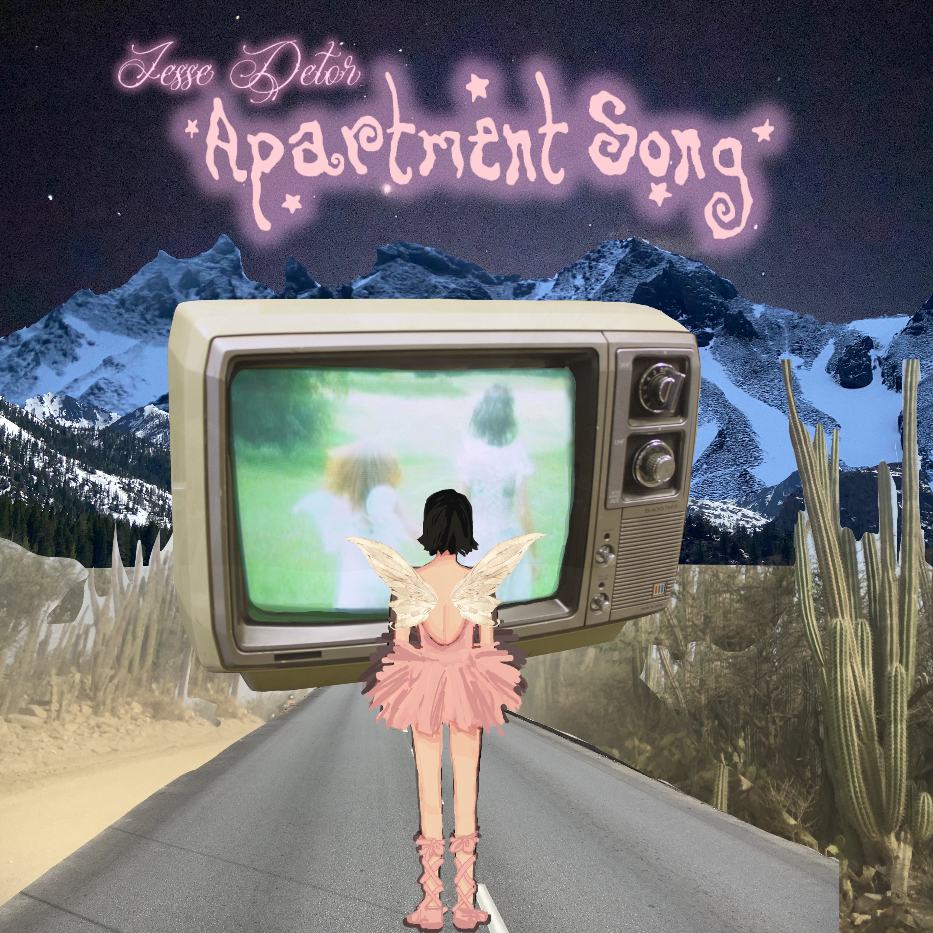 Apartment Song - Single