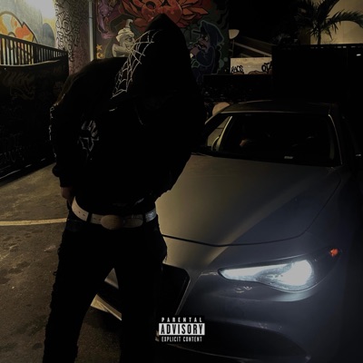 stedi (SLOWED) - Single