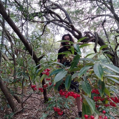 In The Wind - Single