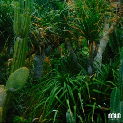 Inthethiccofit - Single