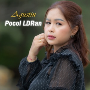 Pocol LDRan Album Art