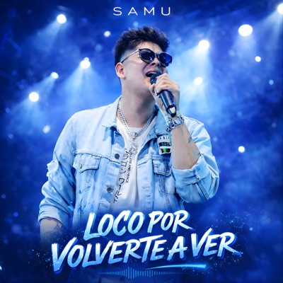 Loco Por Volverte A Ver - Single