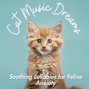 Cat Music Dreams - Soothing Lullabies for Feline Anxiety
