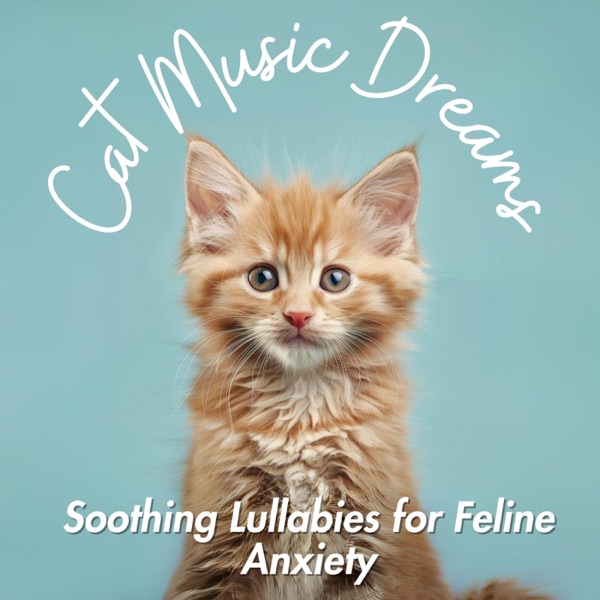 Cat Music Dreams - Soothing Lullabies for Feline Anxiety
