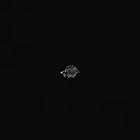 对是错的 — Lil Ghost小鬼
