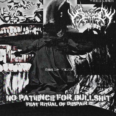 NO PATIENCE FOR BULLSHIT (feat. Ritual of Despair) - Single