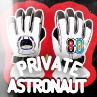 Gloves - Single - Private Astronaut