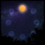 Reconnect - Single
